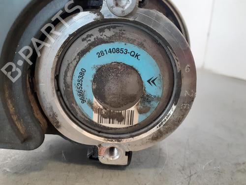 Steering pump PEUGEOT 206+ (2L_, 2M_)  | BP8219883M99 