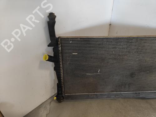 Water radiator FORD TRANSIT Van (FA_ _)  | BP12516049M31 
