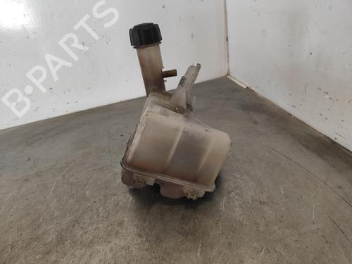 Used Expansion tank RENAULT LAGUNA II (BG0/1_) [2001-2007]  13088753