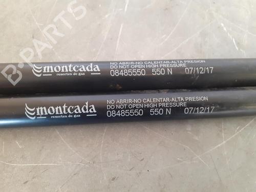 Tailgate lift support FORD FOCUS II (DA_, HCP, DP)  | BP14189525C138 