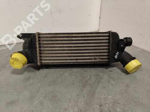 Intercooler PEUGEOT 407 (6D_)  | BP11690062M30 