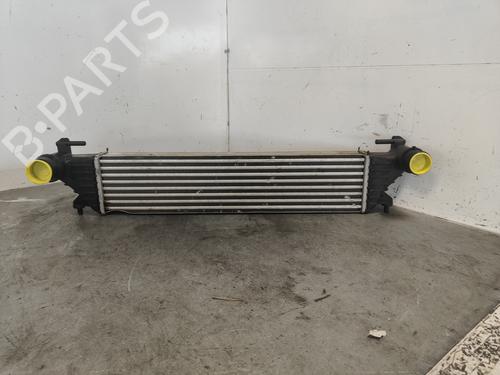 Used Intercooler Intercooler FIAT 500L (351_, 352_) [2012-2026] 33983255 33983255