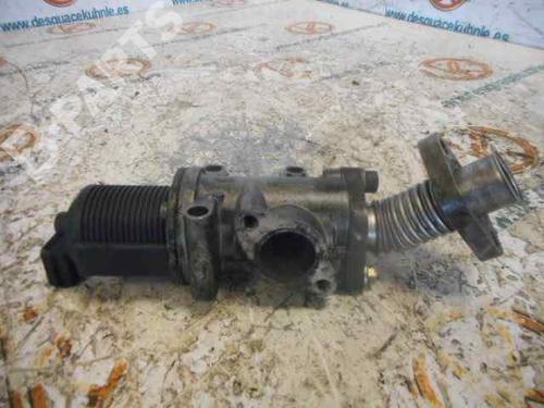 Egr FIAT DOBLO MPV (119_, 223_) 1.9 JTD | BP2451192M69 