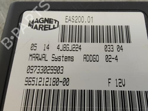 Elektronisk modul PEUGEOT 307 (3A/C)  | BP20036800M83 