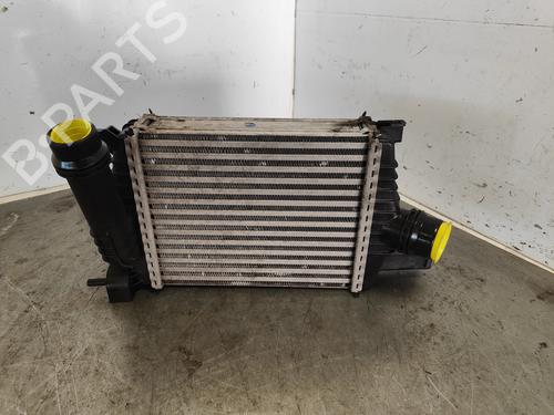 Intercooler RENAULT CLIO IV (BH_) [2012-2021]  27605681