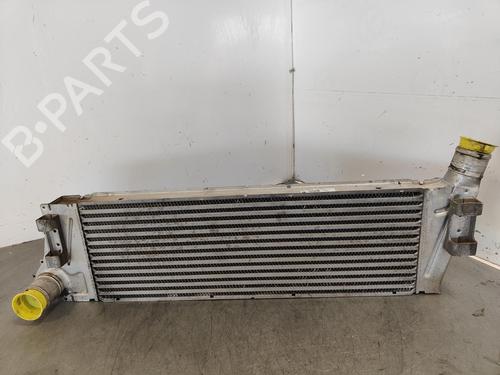 Used Intercooler RENAULT MEGANE II Saloon (LM0/1_) [2003-2025]  16335158