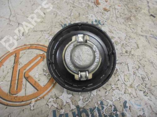 Fuel flap MERCEDES-BENZ E-CLASS (W210) E 300 D (210.020) | BP10269899C131 