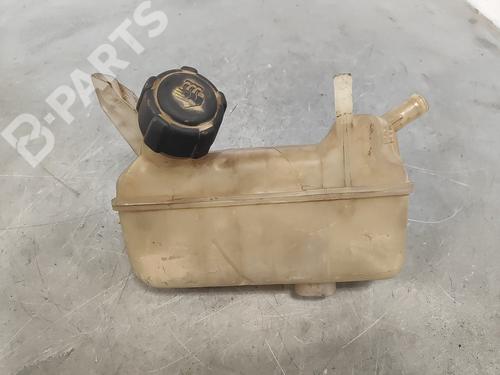 Used Expansion tank RENAULT MEGANE II (BM0/1_, CM0/1_) [2001-2012]  11920813