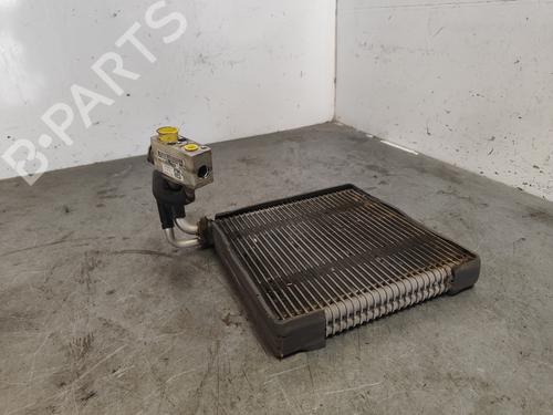Used Air conditioning evaporator RENAULT LAGUNA Coupe (DT0/1) 1.5 dCi (110 hp) 30061607