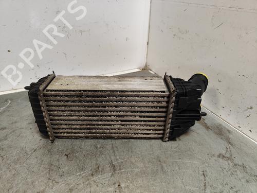 Intercooler CITROËN DS3 (SA_)  | BP29724489M30 