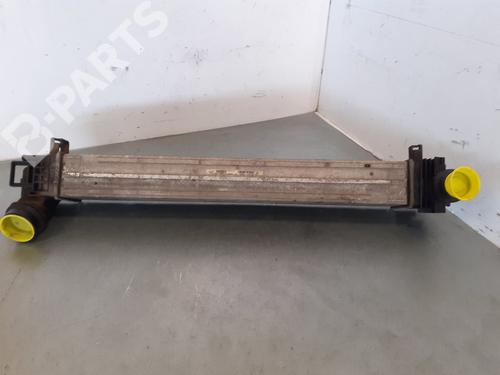 Intercooler RENAULT MEGANE III Hatchback (BZ0/1_, B3_) | BP7905816M30