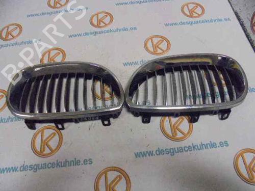 Grilles de calandre BMW 5 Touring (E61) 525 d (197 hp) 2844579