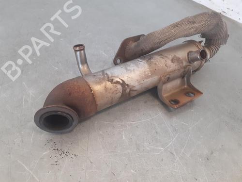 Egr FORD FOCUS I (DAW, DBW)  | BP14189210M69 