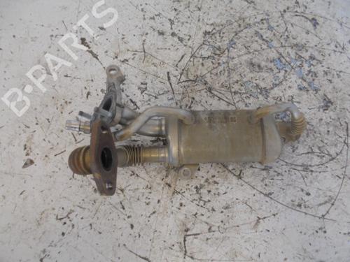 Used Egr RENAULT MEGANE III Hatchback (BZ0/1_, B3_) 1.5 dCi (BZ09, BZ0D, BZ1W, BZ29, BZ14) (110 hp) 14187032