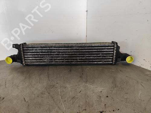 Intercooler JAGUAR X-TYPE I (X400) 2.0 D (130 hp) 13616234