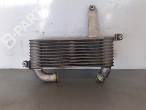 Intercooler HYUNDAI MATRIX (FC)  | BP8359798M30 