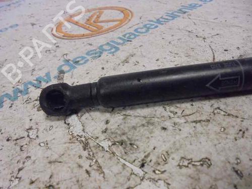 Tailgate lift support JAGUAR S-TYPE II (X200) 3.0 V6 | BP14185246C138 