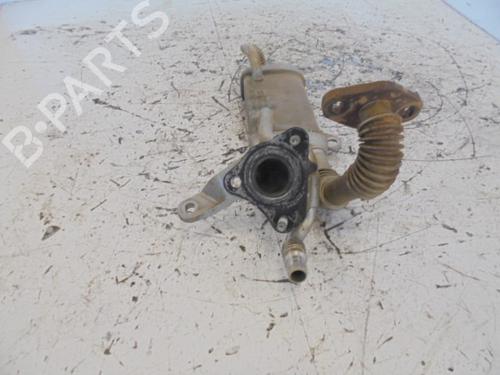 Egr RENAULT MEGANE III Hatchback (BZ0/1_, B3_) 1.5 dCi (BZ09, BZ0D, BZ1W, BZ29, BZ14) | BP14187032M69