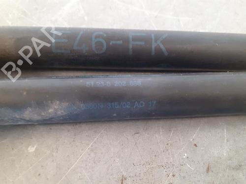 Hood lift support BMW 3 (E46)  | BP14189144C139