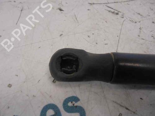 Hood lift support VW CADDY III Box Body/MPV (2KA, 2KH, 2CA, 2CH) 2.0 SDI | BP14178970C139 