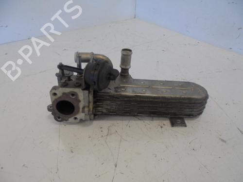 Egr AUDI A3 (8P1)  | BP14187167M69 