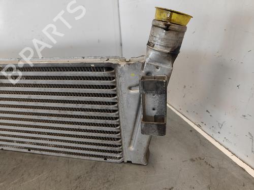 Intercooler RENAULT MEGANE II Saloon (LM0/1_)  | BP16335158M30 