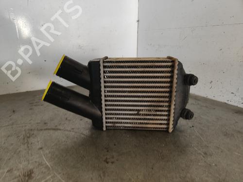 Intercooler RENAULT MEGANE I (BA0/1_) [1995-2004]  30336754