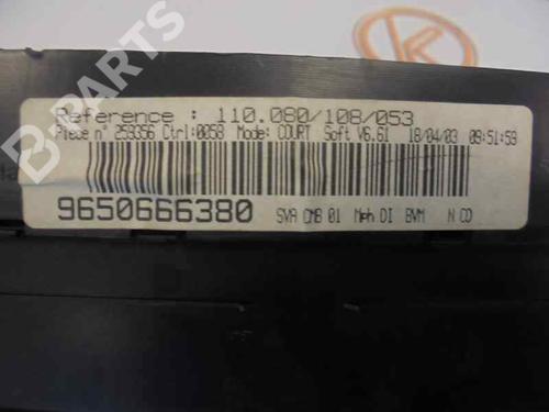Kombiinstrument PEUGEOT 406 (8B)  | BP2488258C47