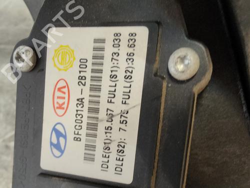 Pedal HYUNDAI SANTA FÉ II (CM)  | BP27518698I4 