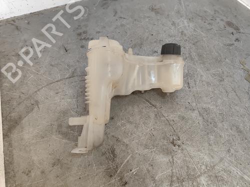 Expansion tank RENAULT LAGUNA Coupe (DT0/1) 1.5 dCi | BP30077819C120