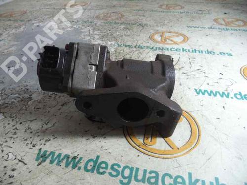 Egr NISSAN ALMERA II Hatchback (N16)  | BP2473167M69 
