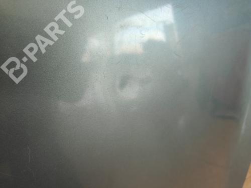 Hood RENAULT MEGANE II (BM0/1_, CM0/1_)  | BP11920802C1 