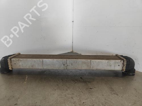 Intercooler MERCEDES-BENZ A-CLASS (W169)  | BP17151814M30 