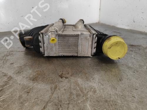 Intercooler JAGUAR XE (X760) 2.0 D AWD | BP29852043M30