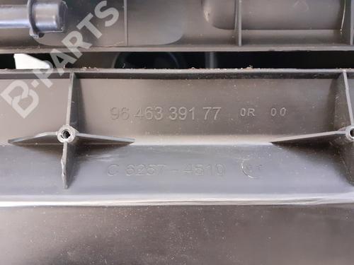 Glove box CITROËN C4 I (LC_)  | BP10395124C95 