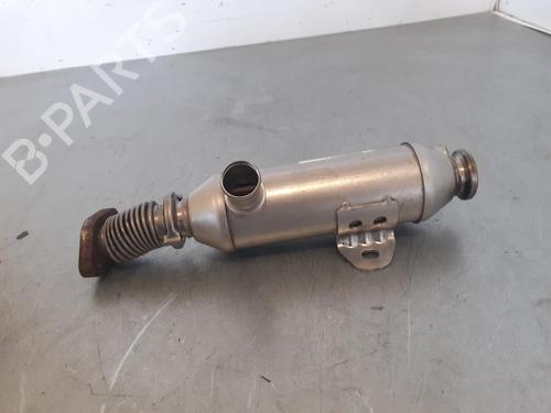 Egr CITROËN XSARA (N1)  | BP14188162M69 