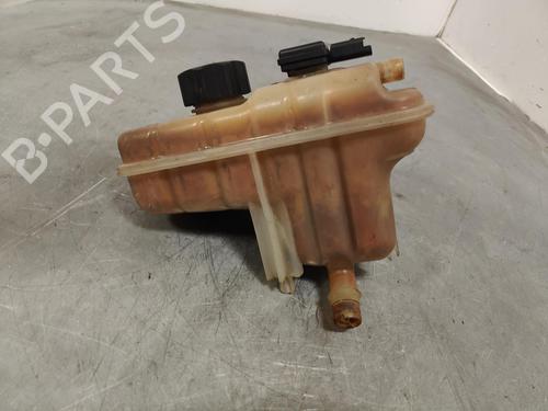 Expansion tank PEUGEOT 407 (6D_)  | BP11690054C120 