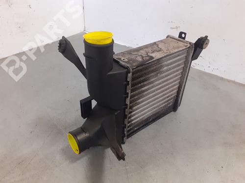 Intercooler BMW 5 (E39)  | BP9173712M30 
