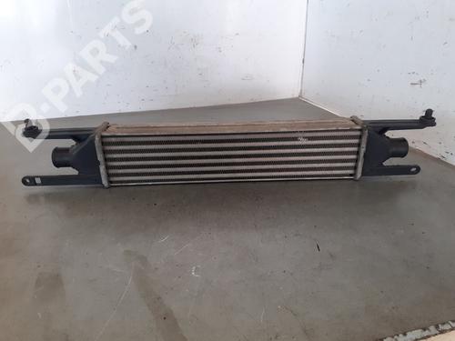 Intercooler FIAT GRANDE PUNTO (199_) 1.3 D Multijet (75 hp) 9843573