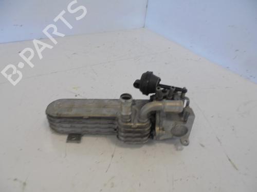 Used Egr AUDI A3 (8P1) [2003-2013]  14187167