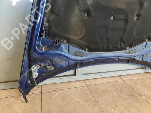Hood VW TOUAREG (7LA, 7L6, 7L7)  | BP12516337C1 