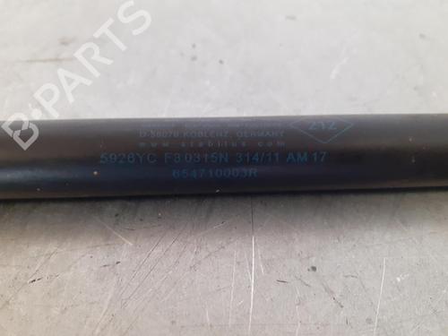 Hood lift support RENAULT MEGANE III Hatchback (BZ0/1_, B3_)  | BP14188307C139 