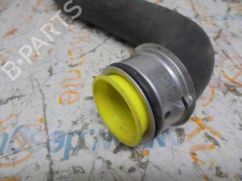 Pipe MERCEDES-BENZ SLK (R171) 200 Kompressor (171.442) | BP14185310M125 