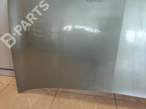 Hood RENAULT MEGANE II (BM0/1_, CM0/1_)  | BP11920802C1 