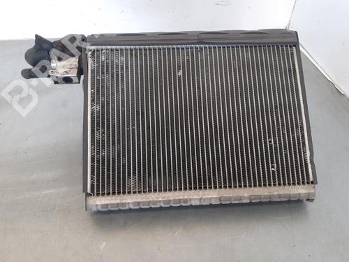 Air conditioning evaporator LAND ROVER RANGE ROVER SPORT I (L320)  | BP11663222M109
