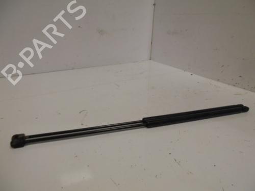 Used Hood lift support MERCEDES-BENZ S-CLASS (W220) S 320 CDI (220.026, 220.126) (197 hp) 14187138