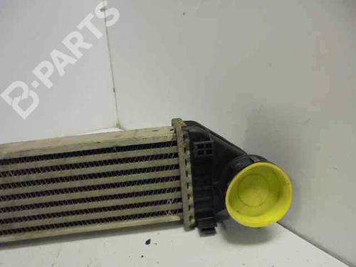 Intercooler MERCEDES-BENZ A-CLASS (W169) A 180 CDI (169.007, 169.307) | BP5330181M30 