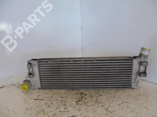 Used Intercooler RENAULT MEGANE II Saloon (LM0/1_) [2003-2025]  6161885