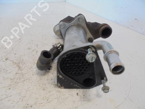 Egr DACIA SANDERO  | BP14187463M69