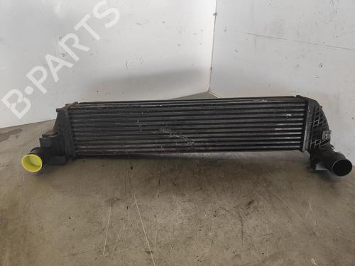 Intercooler RENAULT LAGUNA II (BG0/1_)  | BP13088765M30 